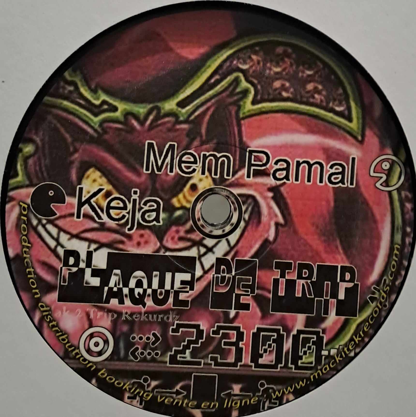 Plaque De Trip 2300 - vinyle freetekno